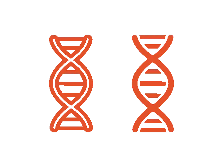 DNA-strenge