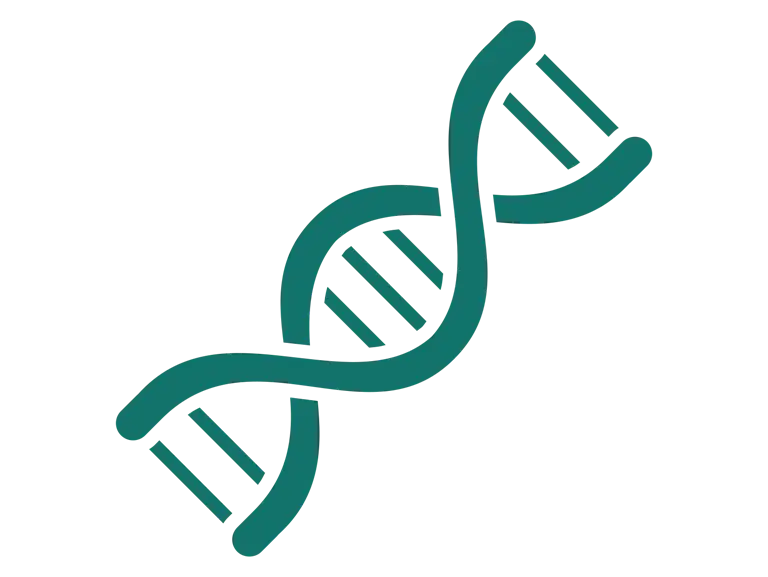 Icon of a double helix DNA strand.
